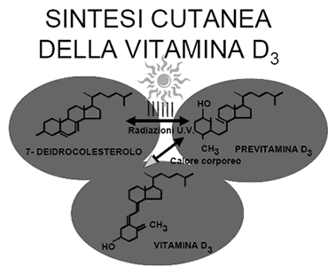 Vitamina D