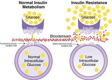 Insulino-Resistenza