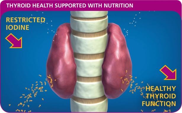 Tiroide e Alimentazione