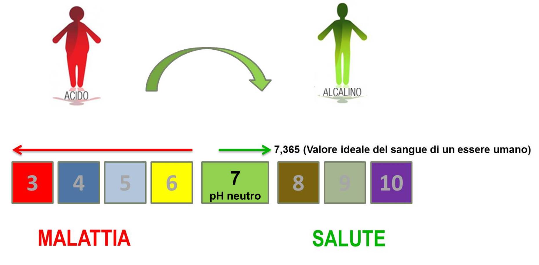 Che cosa è l’ acidosi metabolica?