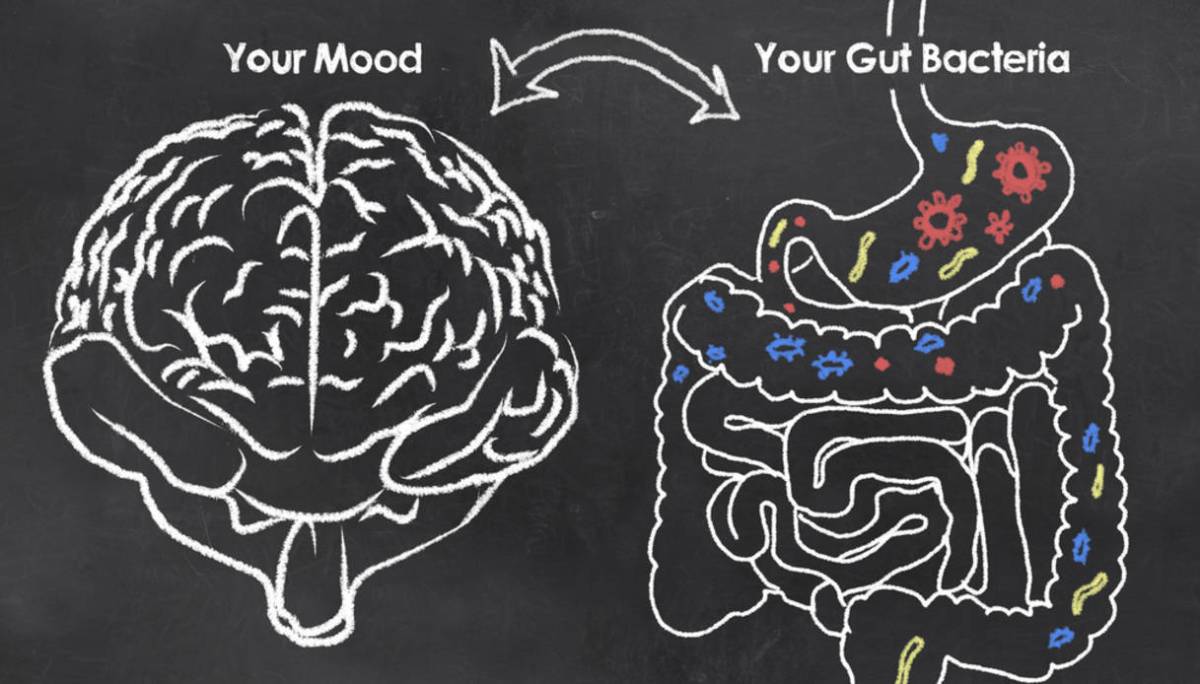 L’ asse intestino-cervello le basi della Salute