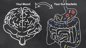 L’intestino:alla scoperta del nostro secondo cervello