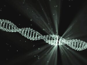 DNA, AUTOGAGIA