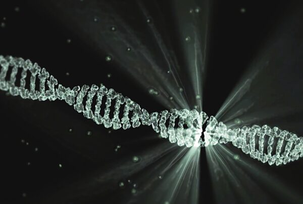 DNA, AUTOGAGIA